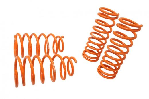 Megan Racing Lowering Springs