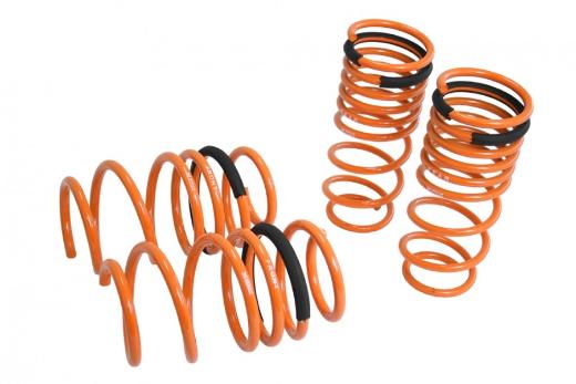 Megan Racing Lowering Springs