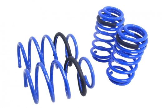 Megan Racing Lowering Springs