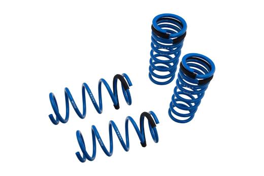 Megan Racing Lowering Springs