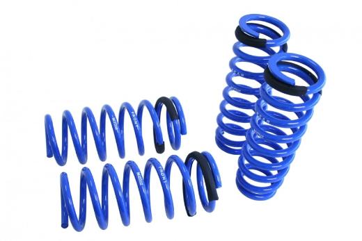 Megan Racing Lowering Springs