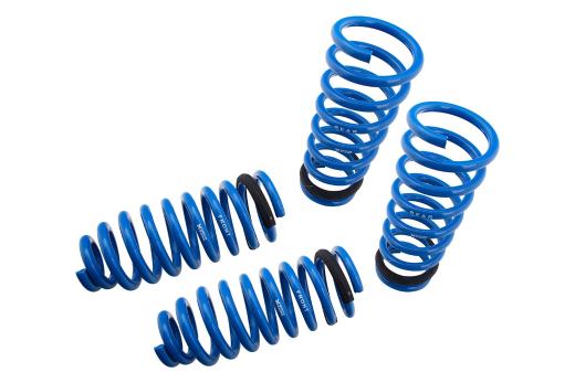 Megan Racing Lowering Springs