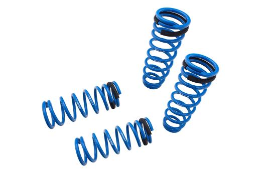 Megan Racing Lowering Springs - 2