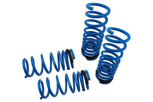 Megan Racing Lowering Springs - 1.5