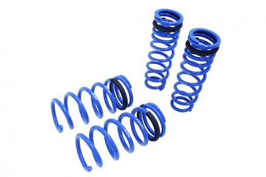 Megan Racing Lowering Springs