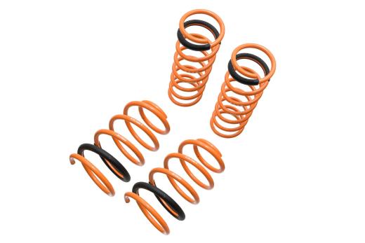 Megan Racing Lowering Springs