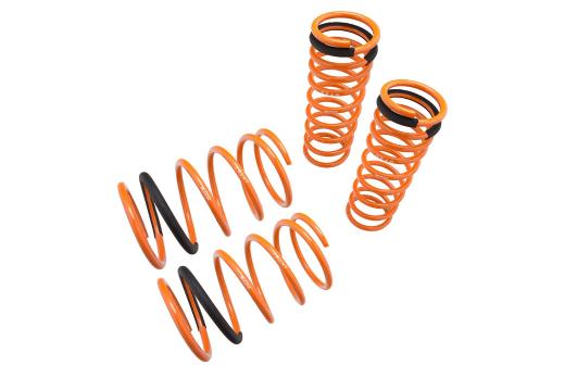 Megan Racing Lowering Springs