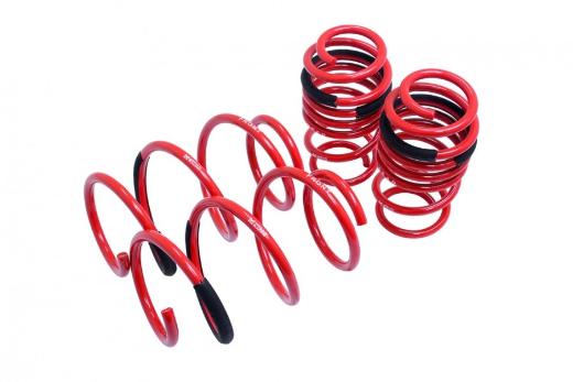 Megan Racing Lowering Springs