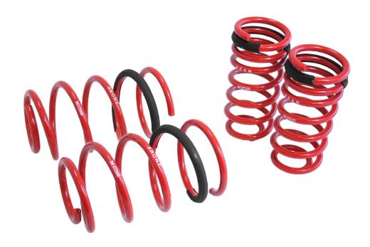 Megan Racing Lowering Springs