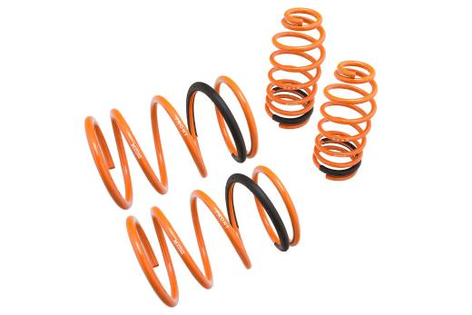 Megan Racing Lowering Springs - 2