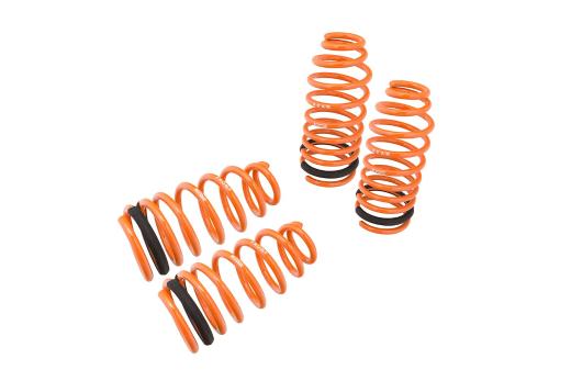 Megan Racing Lowering Springs