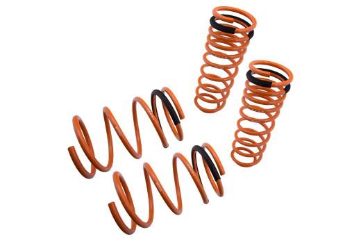 Megan Racing Lowering Springs - 2