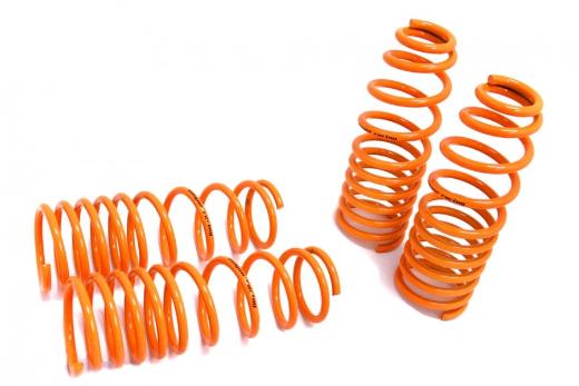 Megan Racing Lowering Springs