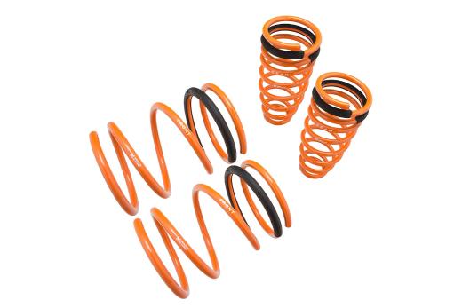 Megan Racing Lowering Springs - 2 Inch Front / 1.9 Inch Rear