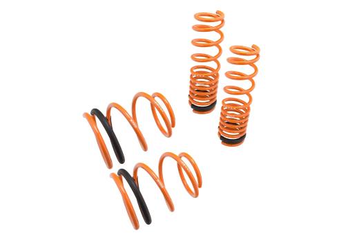 Megan Racing Lowering Springs