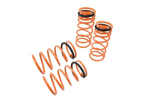 Megan Racing Lowering Springs