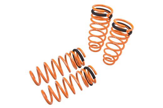 Megan Racing Lowering Springs