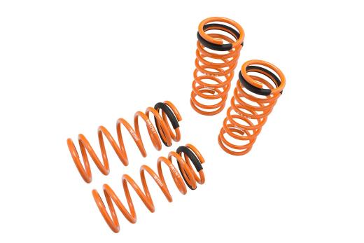 Megan Racing Lowering Springs