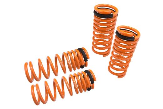 Megan Racing Lowering Springs