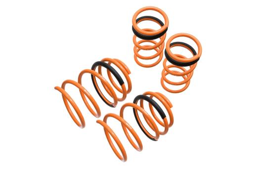 Megan Racing Lowering Springs