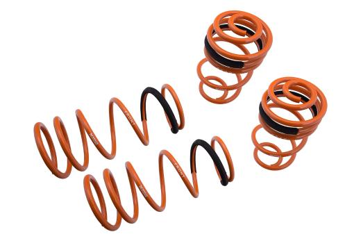 Megan Racing Lowering Springs