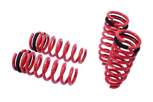 Megan Racing Lowering Springs