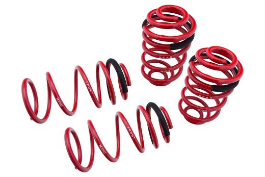 Megan Racing Euro-Version Lowering Springs