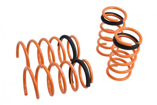 Megan Racing Lowering Springs