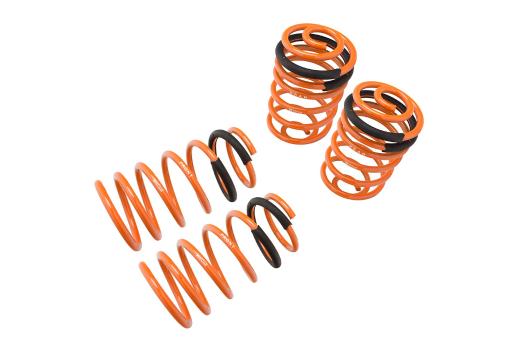 Megan Racing Lowering Springs