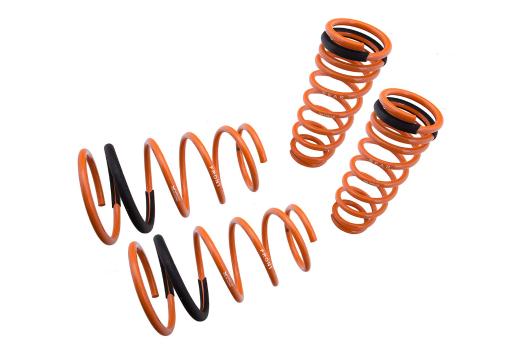 Megan Racing Lowering Springs