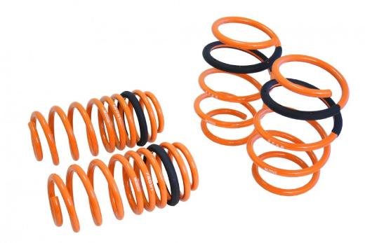 Megan Racing Lowering Springs