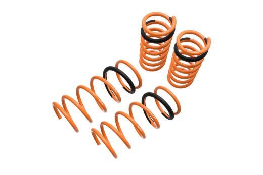 Megan Racing Lowering Springs