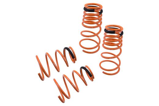 Megan Racing Lowering Springs