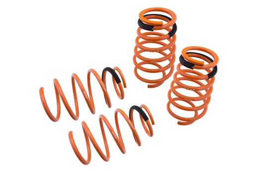 Megan Racing Lowering Springs