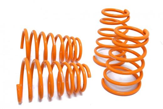 Megan Racing Lowering Springs