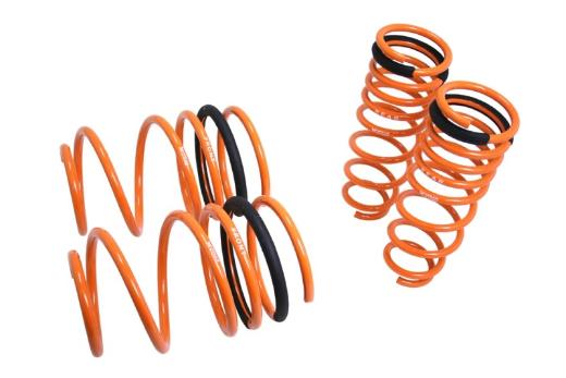 Megan Racing Lowering Springs