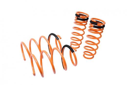 Megan Racing Lowering Springs