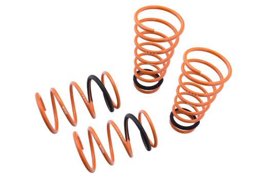 Megan Racing Lowering Springs