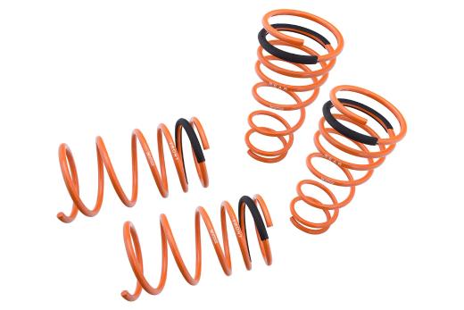 Megan Racing Lowering Springs