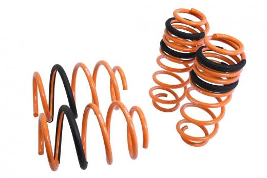 Megan Racing Lowering Springs