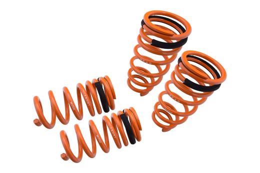 Megan Racing Lowering Springs