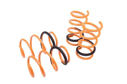 Megan Racing Lowering Springs - Version 2 