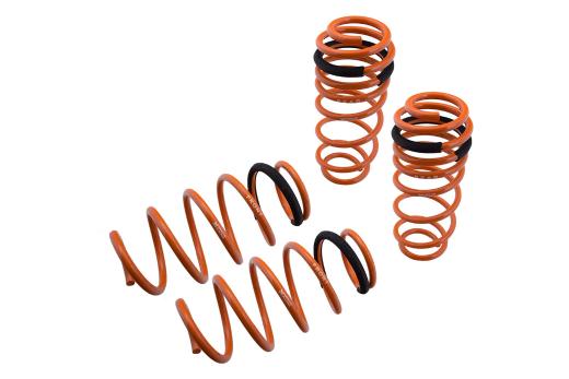 Megan Racing Lowering Springs