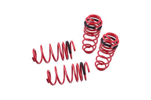 Megan Racing Lowering Springs