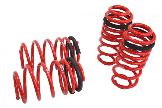 Megan Racing Lowering Springs - 1.5