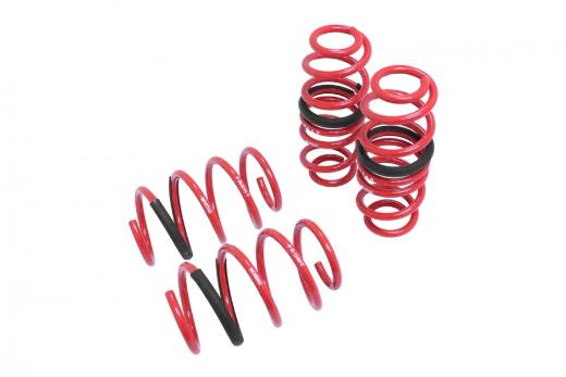 Megan Racing Lowering Springs