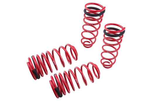 Megan Racing Lowering Springs