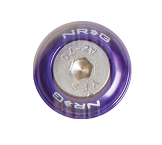 NRG Innovations Fender Washer Kit, Rivets for Metal, Set of 10 (Purple)