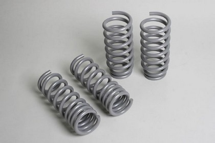 Progress Sport Springs