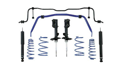 Roush Struts and Shocks - Strut (Front)